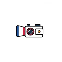 TikTok French Influencer Data Scraper API