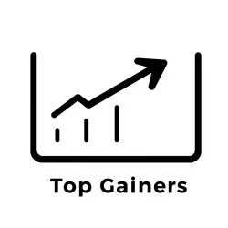 Top Gainers Information API