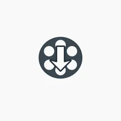 ReelInsight 捕获媒体 API