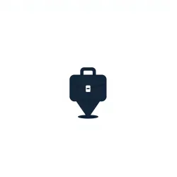 Google Maps Business Pro API