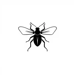 Insect Species Detection API