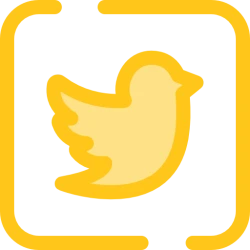 Twitter Media Retrieval API