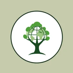 Visual Global Forest Data API