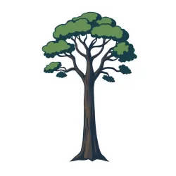 Tallest Trees Data Fetcher API