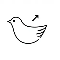 Xquik Twitter Data Export API
