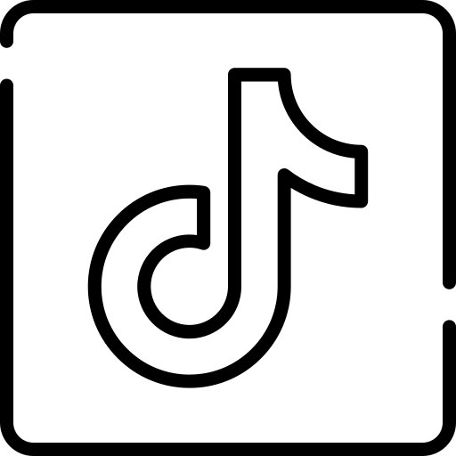 VibeClip TikTok 视频获取器 API