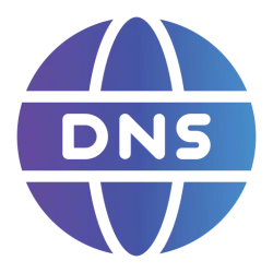 DNS Verification Data Extractor API