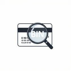 Real-Time BIN Detection and Analysis API