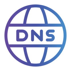 DNS Data Retrieval Information API
