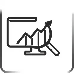 Dynamic Website Traffic SEO Rank AI Analytics API