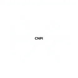 Consulta de Socios y Red Societaria por CNPJ API