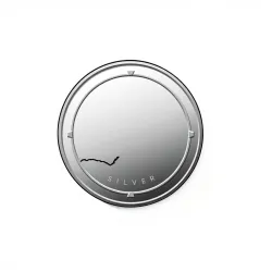Goa Silver Rates Capture API