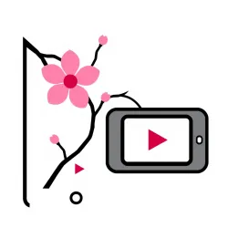 Japan TikTok Influencer Data API