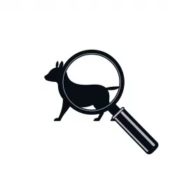 Wild Animal Classifier API