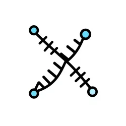 BioMorpho Conexão Perspicaz API
