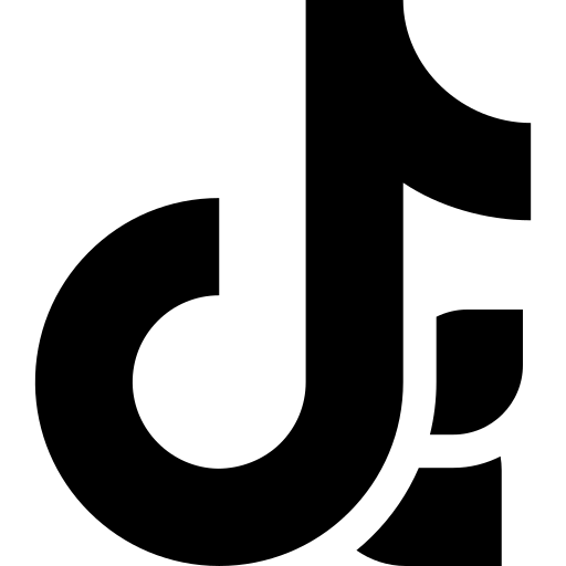 Italian TikTok Influencers Profile Data API