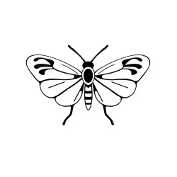 Insect Species Classification API