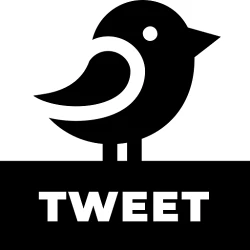 Tweet Video Extractor API