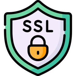 SSL Data Fetch API