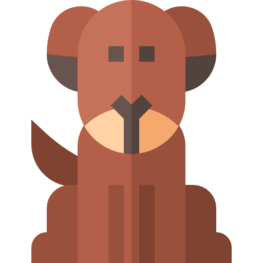 Pet Insurance Policy Facts API