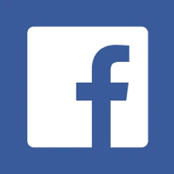 Facebook Video Insight API