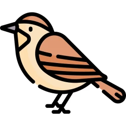 Bird Classification API