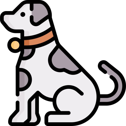 Pet Health and Insurance Data API