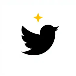 Get Twitter Account Information API