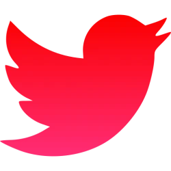 Twitter Account Information API