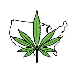 USA Cannabis Regulations API