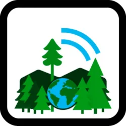 Real Time Global Forest Data API