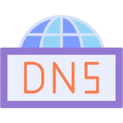 Fetch DNS Verification Details API