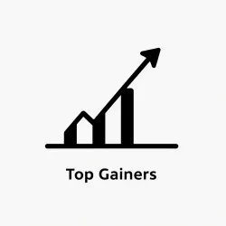 Top Gainers Data Fetch API