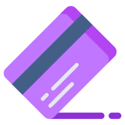 BIN IP Information Capture API