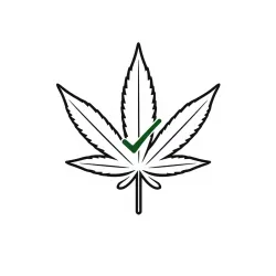 US Marijuana Legalization API