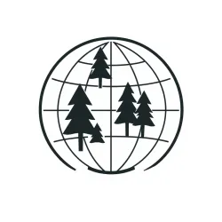 Interactive Global Forest Data API