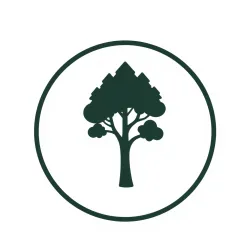 Worldwide Forest Data API