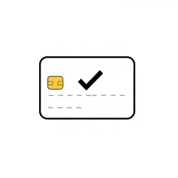 VISA Status API
