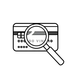 Effective BIN Analysis and Reporting API
