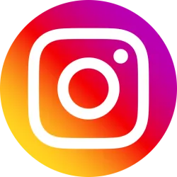 Instagram Profile And Media Data API