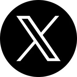 X User Details API