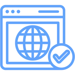 Domains Age Information Capture API