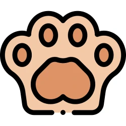 TEsssssst API