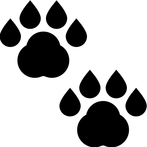 Animal Recognition API