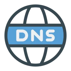 DNS Verification Information API