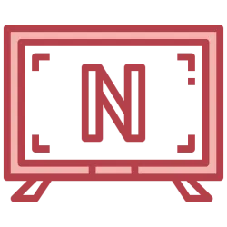 Netflix API