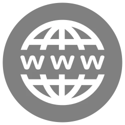 Search Company Domain By Name API