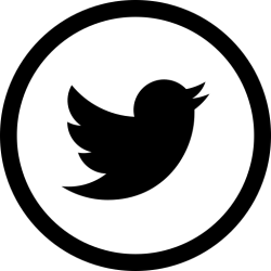 Twitter Premium Tweet API