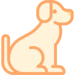 Custo do Tratamento de Doenças em Cães API