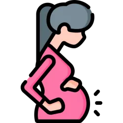 Pregnancy Trimester and Term Milestones API